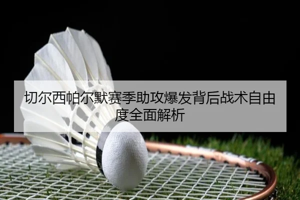 切尔西帕尔默赛季助攻爆发背后战术自由度全面解析 - leyu
