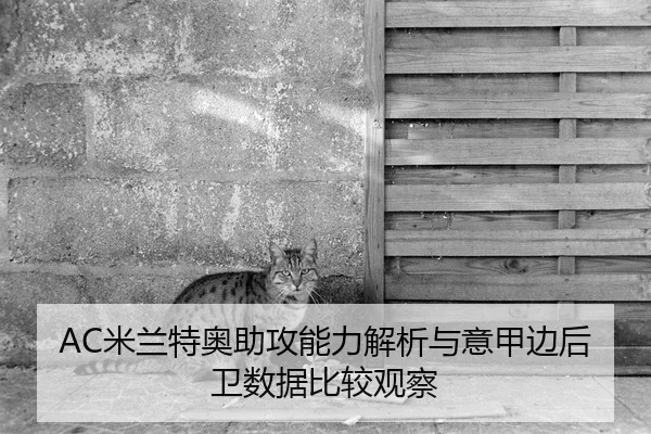 AC米兰特奥助攻能力解析与意甲边后卫数据比较观察 - leyu